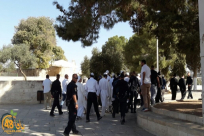 مستوطنون يقتحمون “الأقصى” بحراسة مشددة